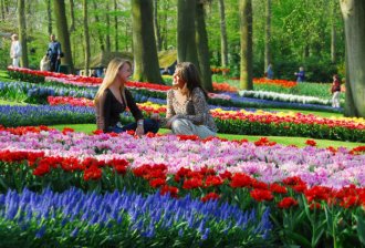 Фото 1 - Королевский парк цветов Кёкенхофф, Нидерланды