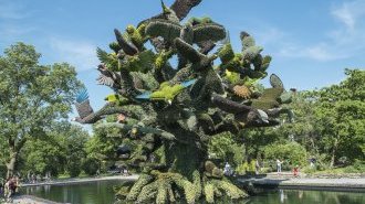 Фото 3 - Зеленые скульптуры, ботанический сад, Монреаль, 2013-й год